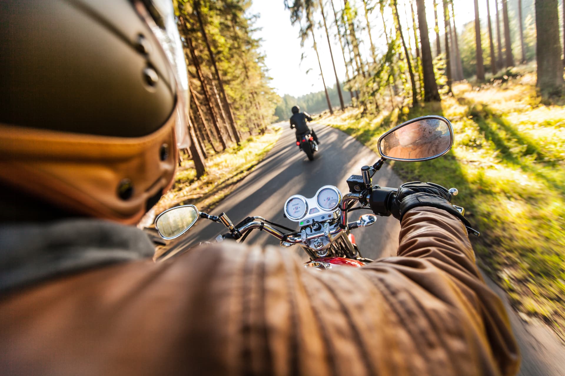 Rider's point of view traveling a tree-lined road